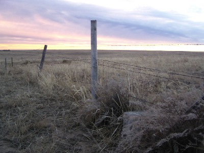 "Sand Hills"