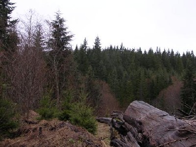 Long Mountain
