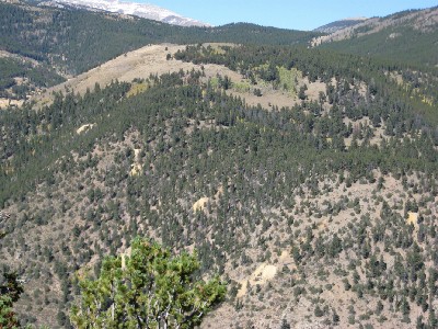 Red Elephant Hill