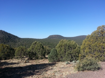 Timber Camp Mountain