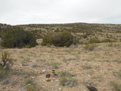 Suluar Mesa