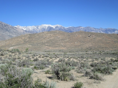 Tungsten Hills