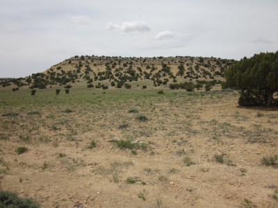 Sagebrush Bench