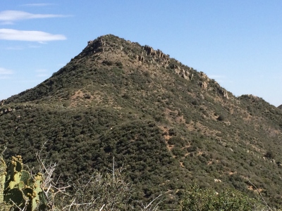 Pioneer Mountain