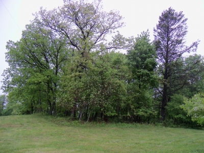 Hellam Hills