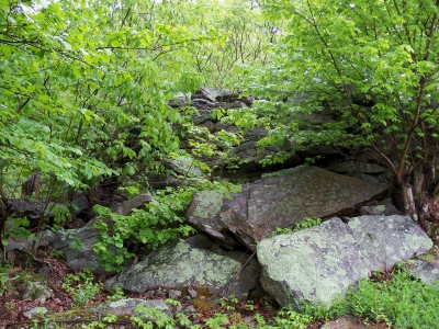 Pigeon Hills