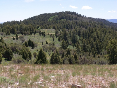 Long Ridge