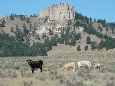 Lovers Leap Butte