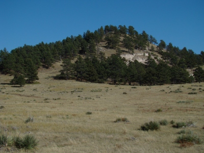 Pine Butte