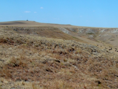 Wolf Butte