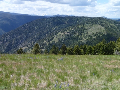 Babcock Mountain