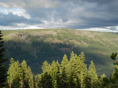 Bullgrouse Ridge