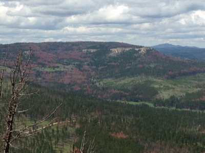 White Tail Peak