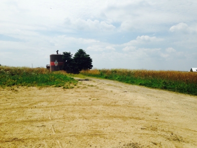 Bird Hill