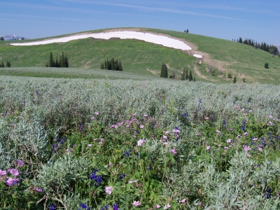 "Blind Bull Mountain"