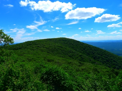 Hogback