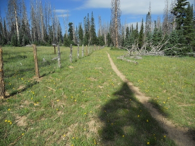 Ashdown Gorge Wilderness HP