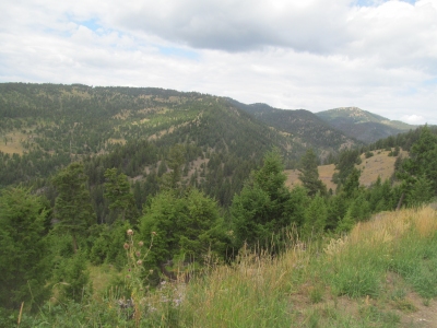 Old Baldy Mountain