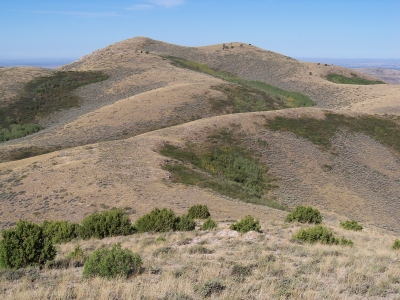 Yandell Mountain