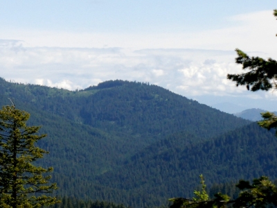 Blue Mountain