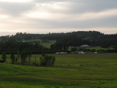 Milan Hill