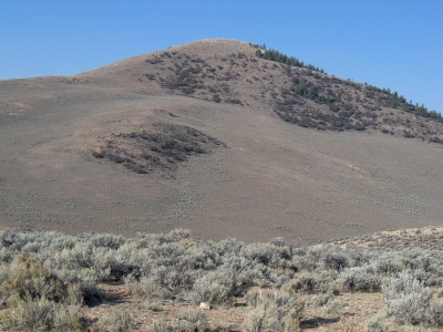 7891