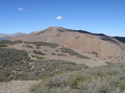 Buller Mountain