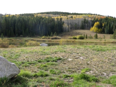 Teetum Ridge