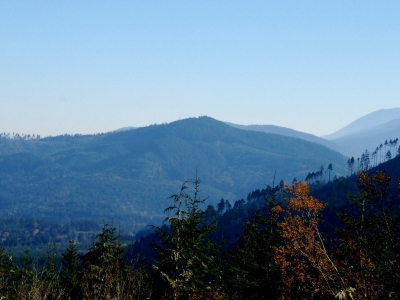 "Dry Hill"