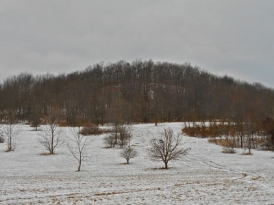 Sugarloaf Knob