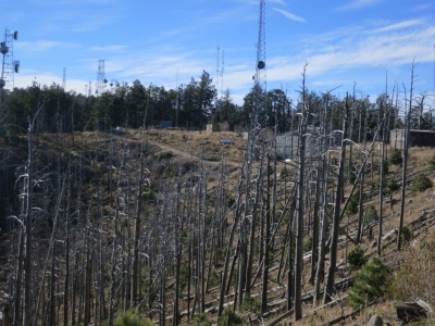 Radio Ridge - 9,060' Arizona
