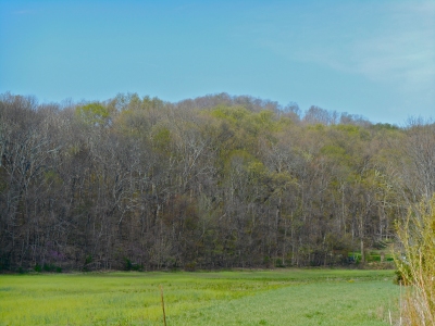 Sugarloaf