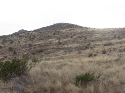Greasewood Hills, Middle