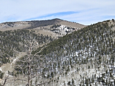 Greenie Mountain