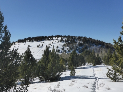Mineral Hill