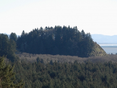 McKenzie Head