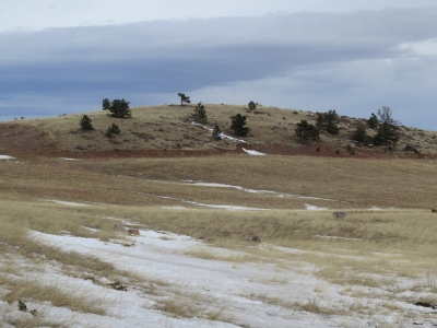 Bald Mountain