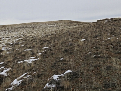 Sand Hills