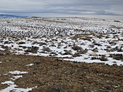 Hogback