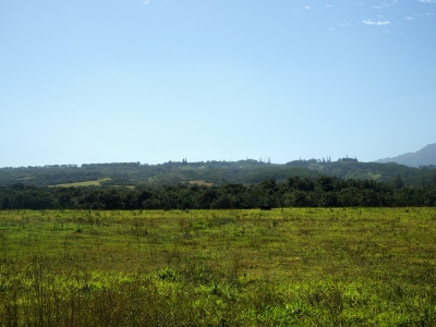 Kilohana Crater