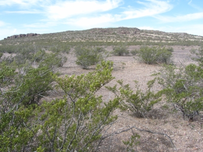 Twelvemile Hill