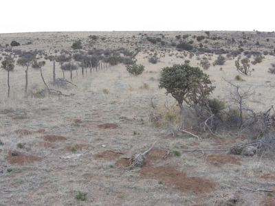 El Paso Ridge