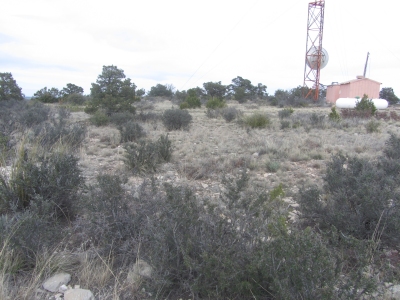 Pickett Hill