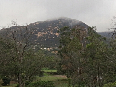 McGinty Mountain