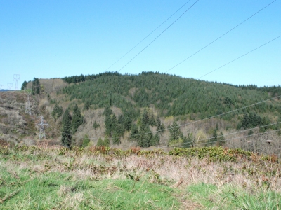 Ogdan Hill
