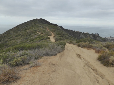"Aliso Peak"