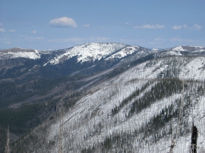 Medicine Point
