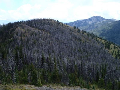 Josephine Peak