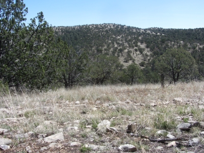 Mule Ridge