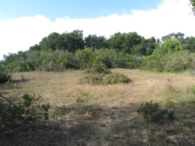 San Leandro Hills